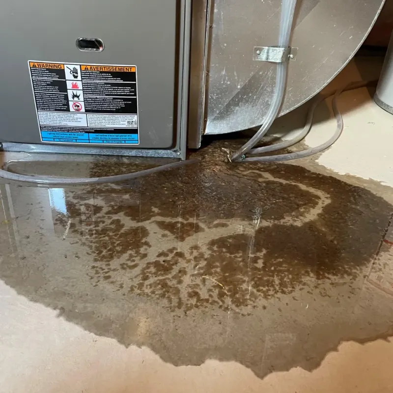 Appliance Leak Cleanup in Alton, MO