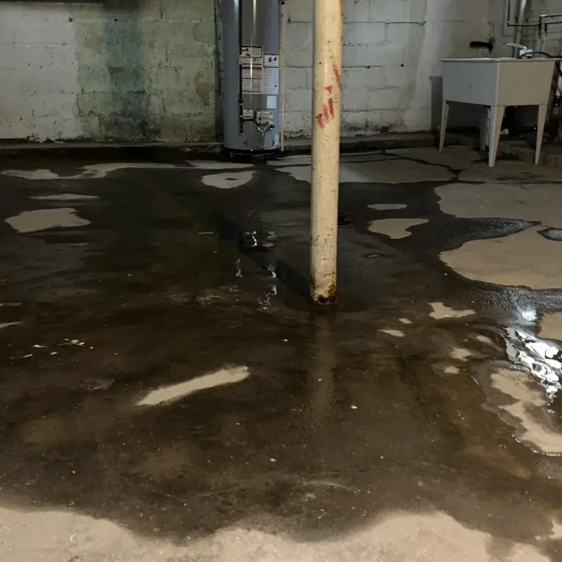 Emergency Water Extraction And Removal in Alton, MO
